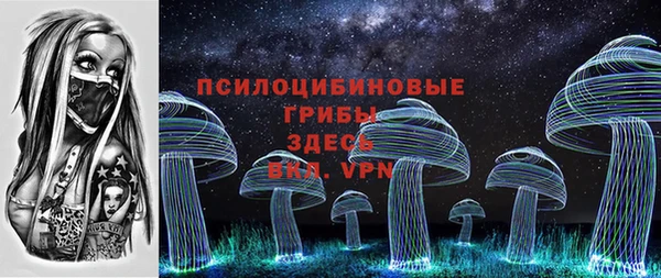 соль ск Белоозёрский