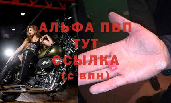 винт Белокуриха
